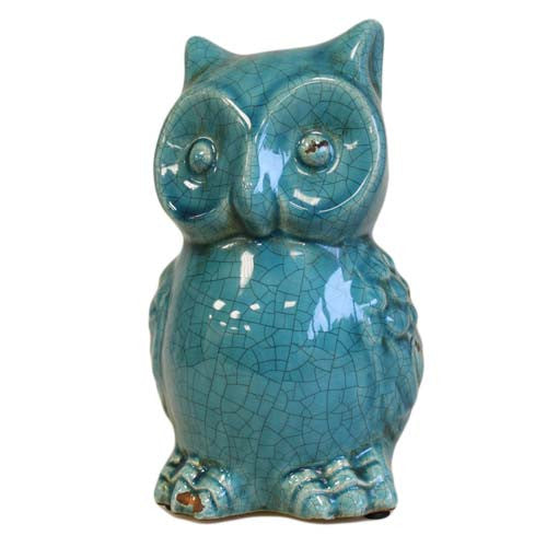 Toot the Owl - Teal - Shopy Max