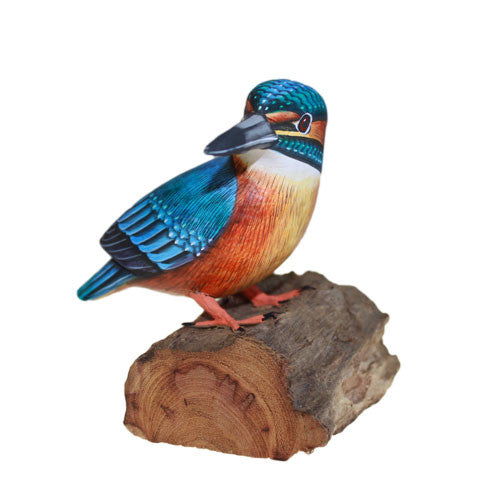 Kingfisher - Shopy Max