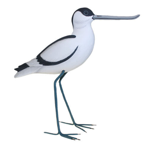 Avocet - Shopy Max