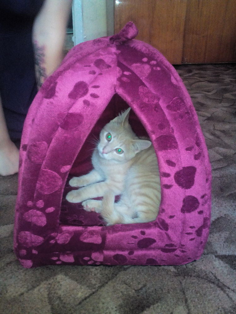 Wholesale Price Cat House and Pet Beds 5 Colors Beige and Red Purple, Khaki