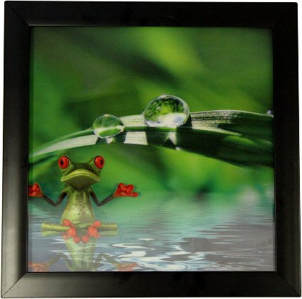 Iconic 3D 30x30cm - Spa Frog - Shopy Max