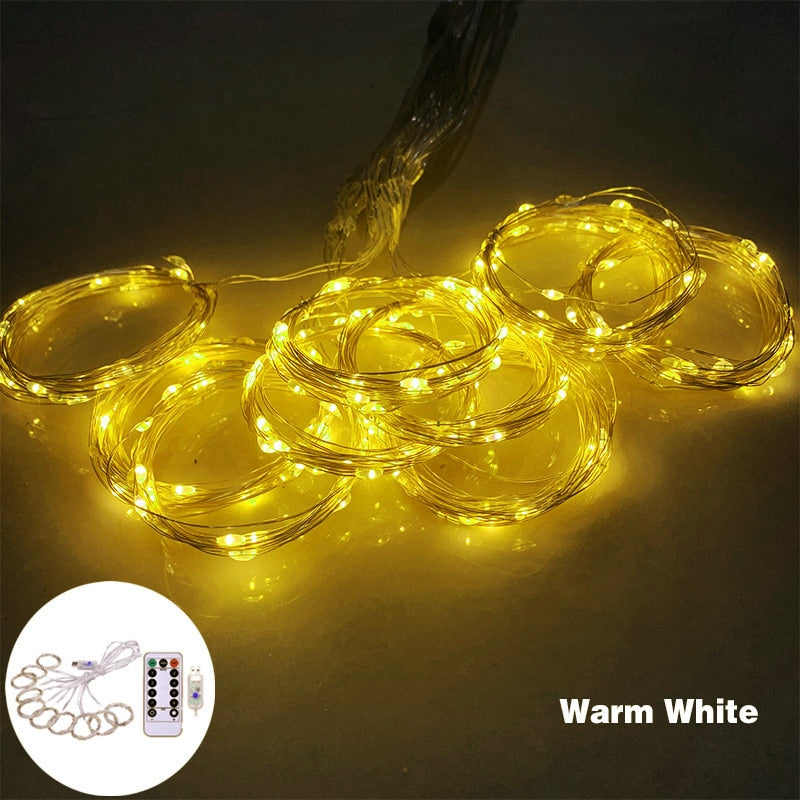 3m 100/200/300 LED Festoon Curtain String Light