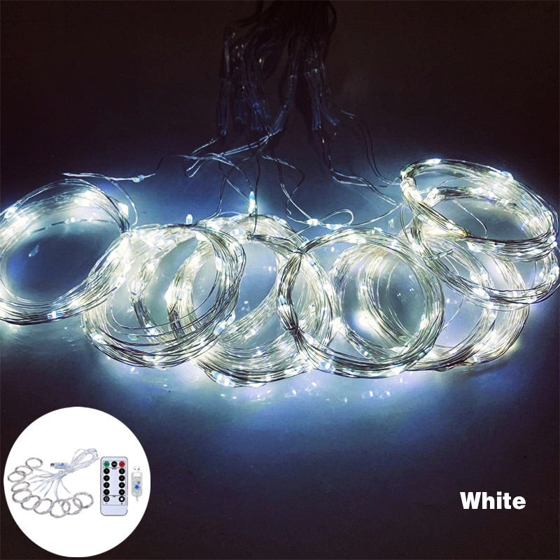 3m 100/200/300 LED Festoon Curtain String Light