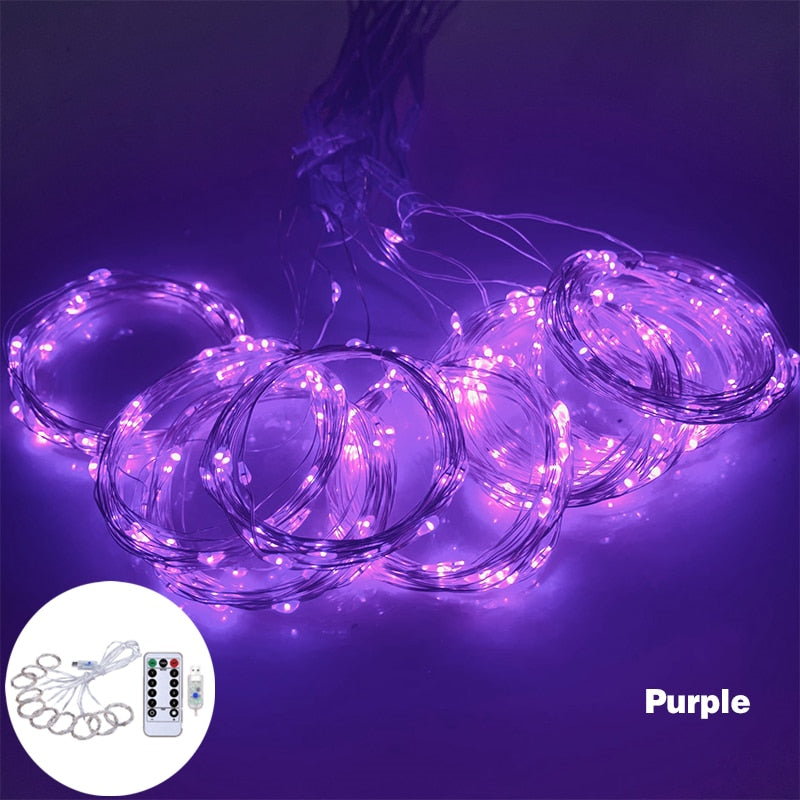 3m 100/200/300 LED Festoon Curtain String Light