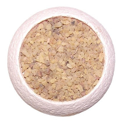 Frankincense Tree Resin Incense - 500g - Shopy Max