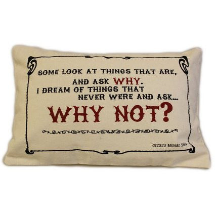 Canvas Cushion Cover - Why Not?