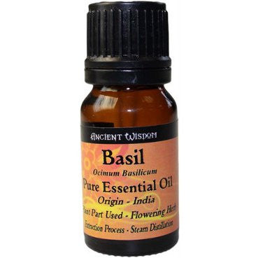 Basil Essential Oil - Shopy Max