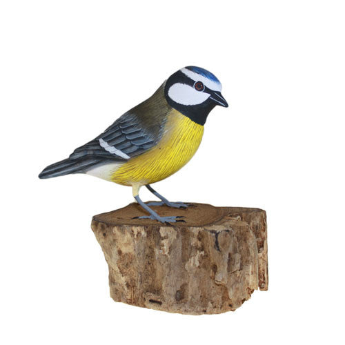 Blue Tit - Shopy Max