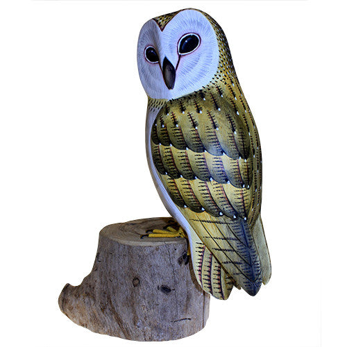 Barn Owl - Shopy Max