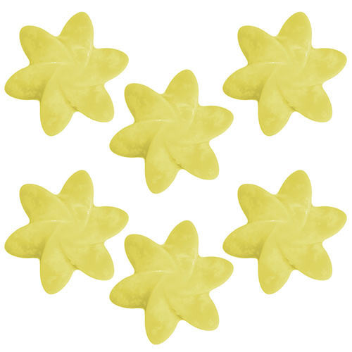 Natural Wax Melts - Lemon Harvest