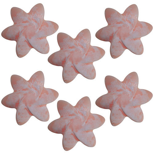 Natural Wax Melts - Japanese Magnolia - Shopy Max