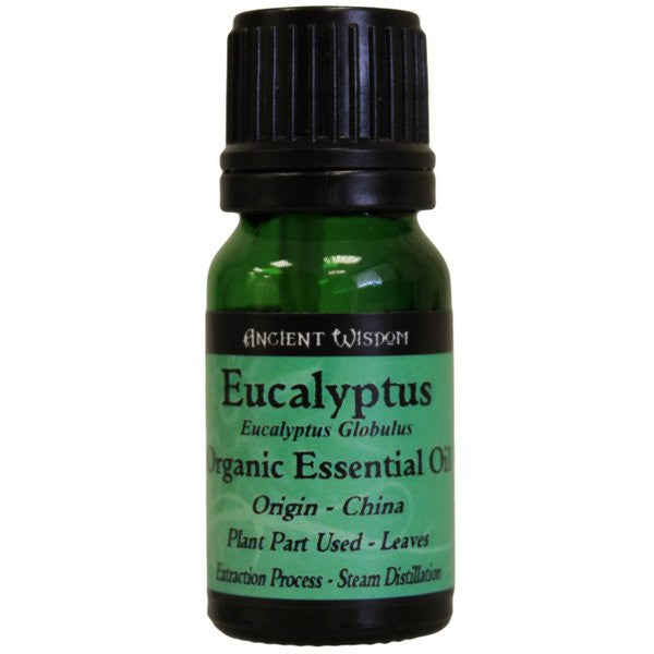 Eucalyptus Organic Essential Oil - Shopy Max