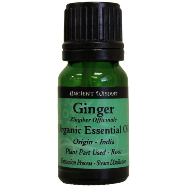 Ginger Organic Essential Oil - Shopy Max