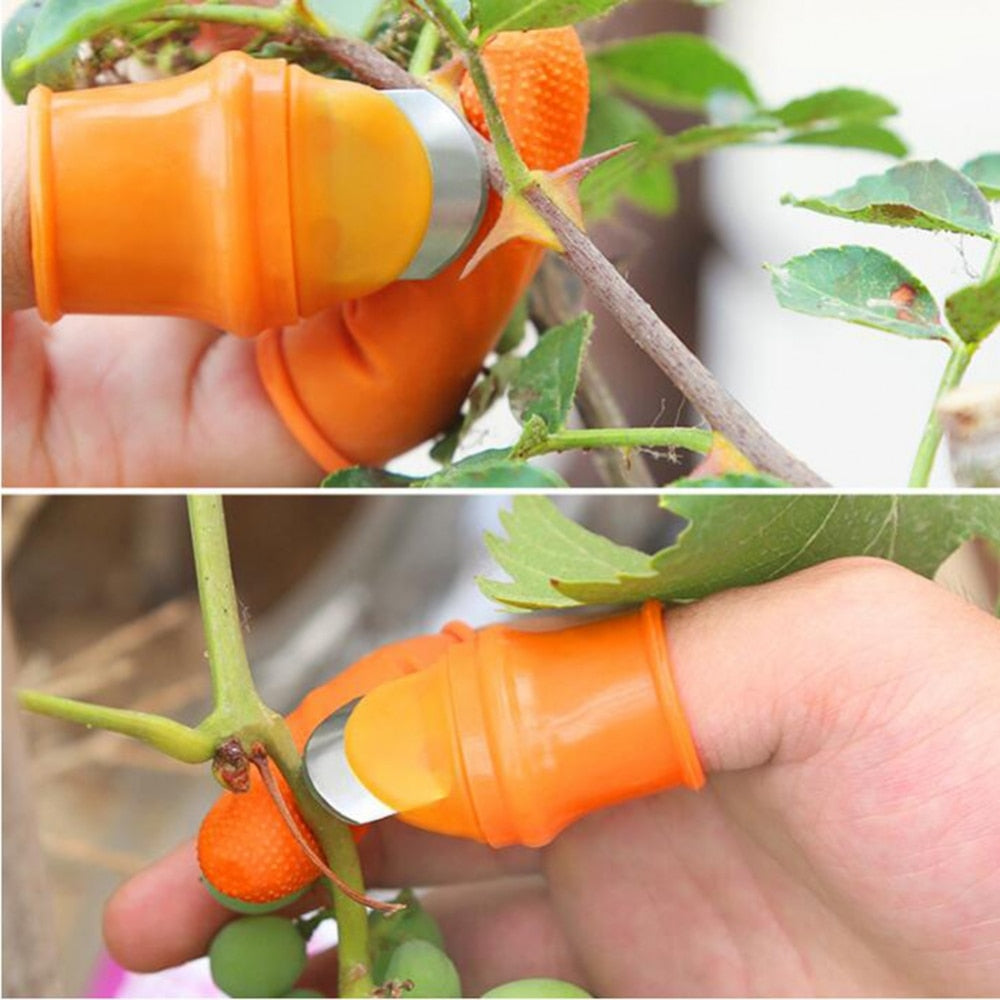 Farm Vegetable Fruit Picker Pickle Pepper Pickle Tip Picker Iron Nail Pick Grape