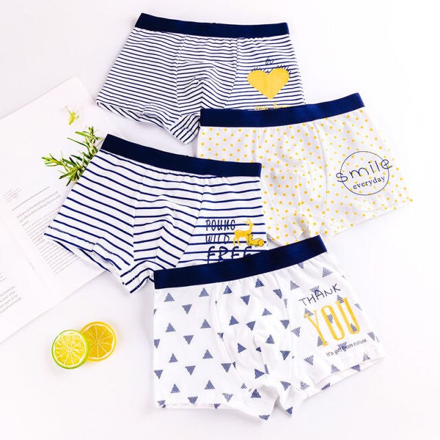HH 3 Piece Kids Boys Underwear Cartoon Children's Shorts Panties
