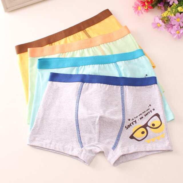 HH 3 Piece Kids Boys Underwear Cartoon Children's Shorts Panties
