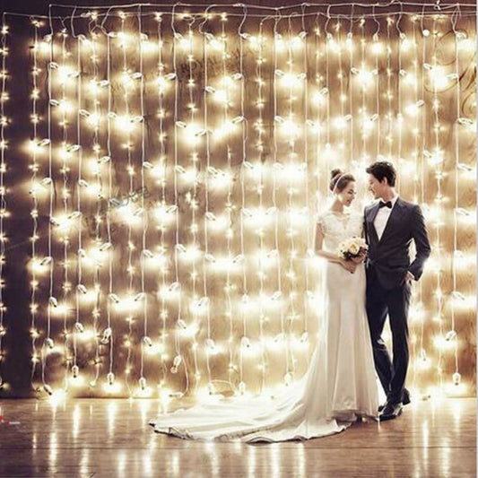 4.5M x 3M 300 LED Home Outdoor Holiday Christmas Decorative Wedding xmas String F