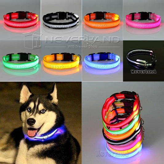 USPS Shipping 8 Color S M L Size Glow LED Dog Pet Cat Flashing Light Up Nylon Collar - Shopy Max