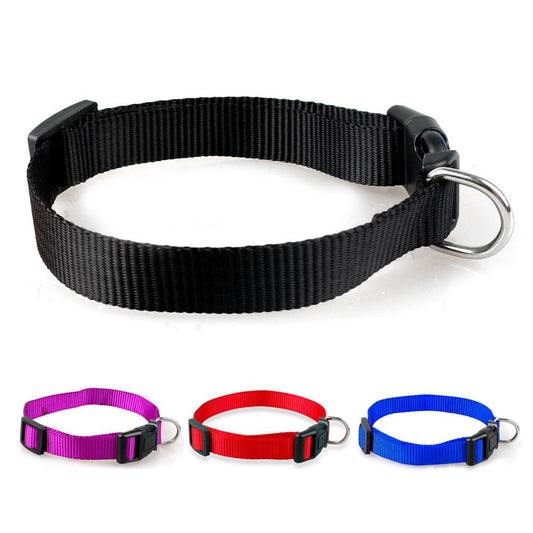4 Sizes 4 colors New Fashion Nylon Dog Pet Collar blue/red/purple/black - Shopy Max