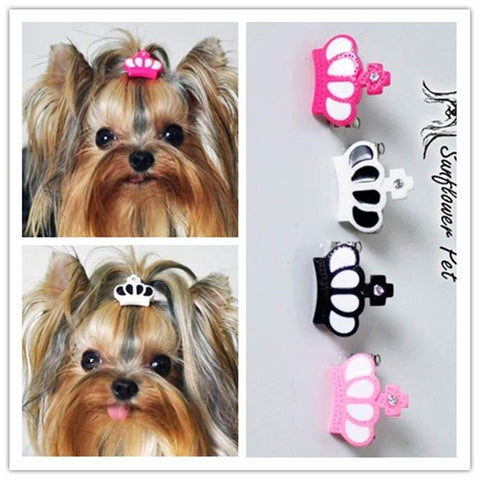 Pet Accessories  resin crown  clip  Dog Bows Dog Grooming Hair Bows  Doggie Pet Gifts