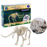Children Creative Educational Fossil Dinosaur Archaeology Excavation Science History