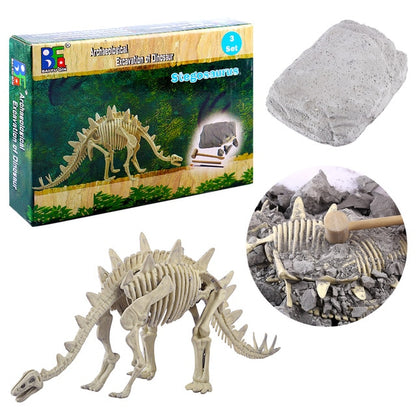 Children Creative Educational Fossil Dinosaur Archaeology Excavation Science History