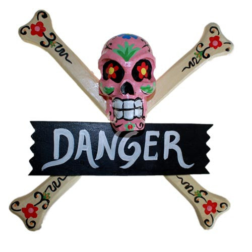 Skulls Warning Sign - DANGER - Shopy Max