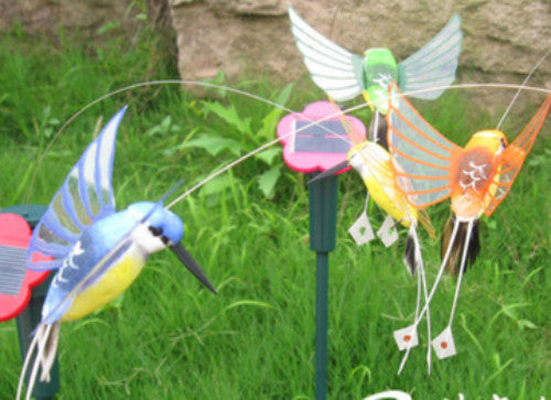 Solar Humming Bird (colours may vary) - Shopy Max