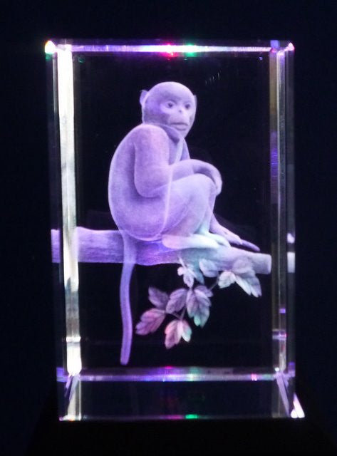Monkey - Shopy Max