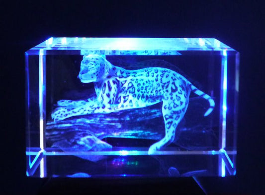Leopard - Shopy Max